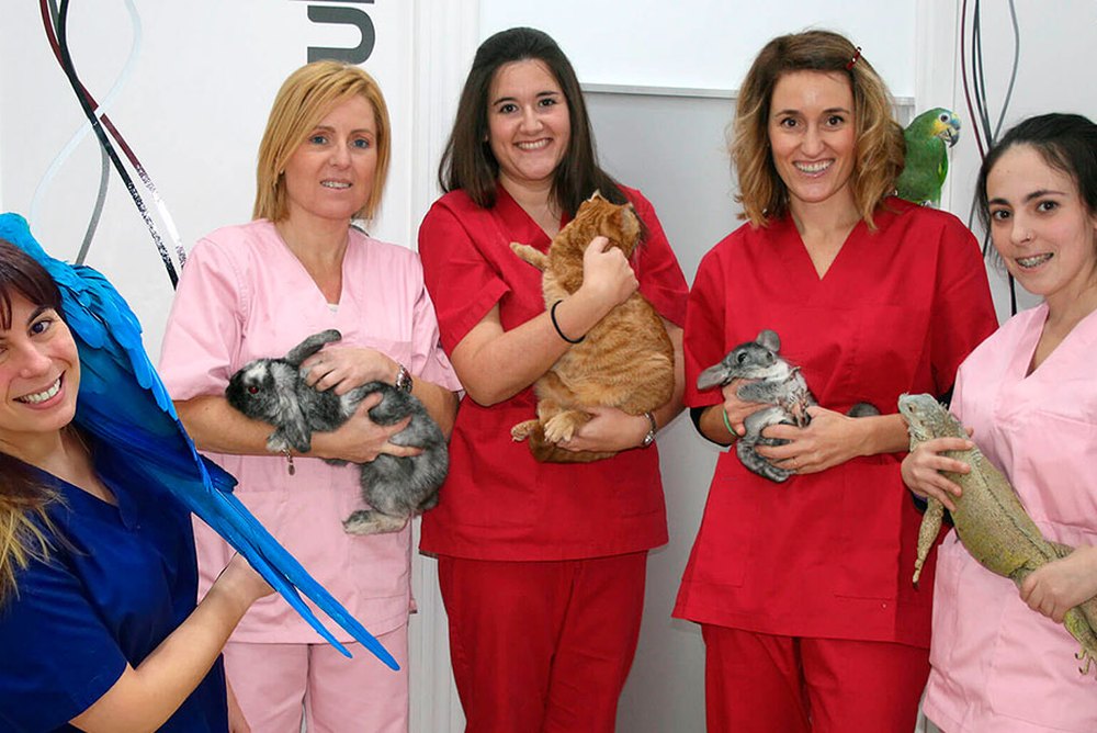 El día a día en el Centro Veterinario Mikavet de Bermeo
