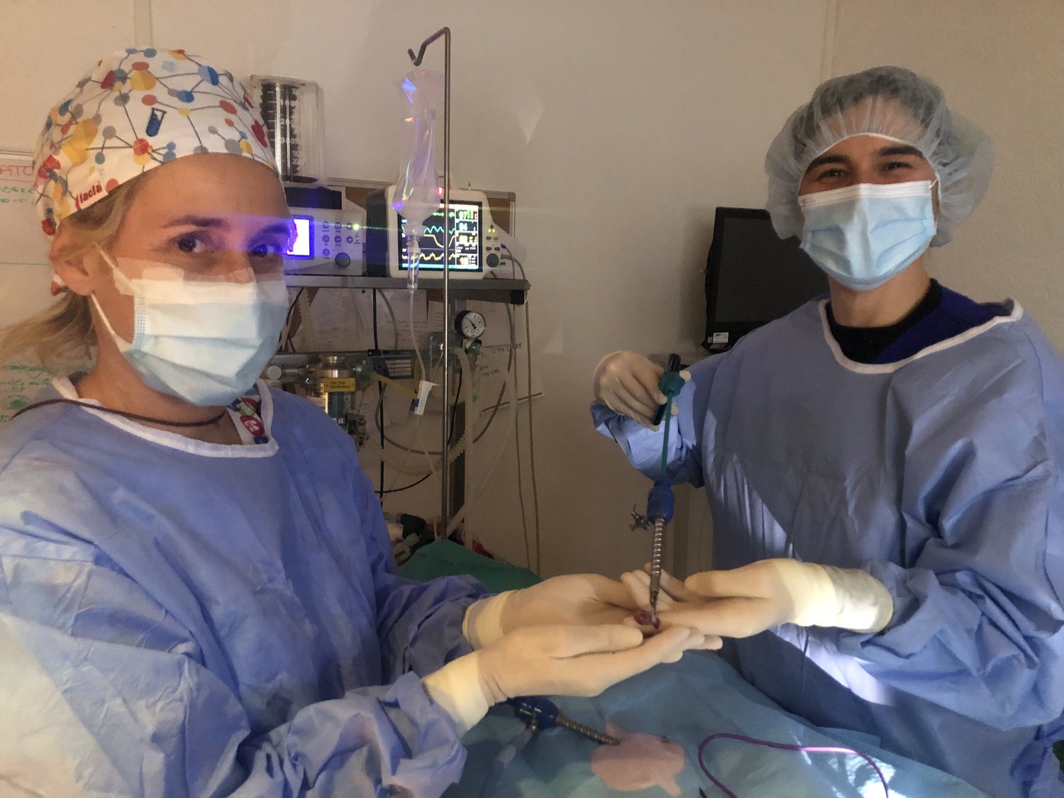 Endoscopia y laparoscopia en Mikavet — Bermeo y Gernika