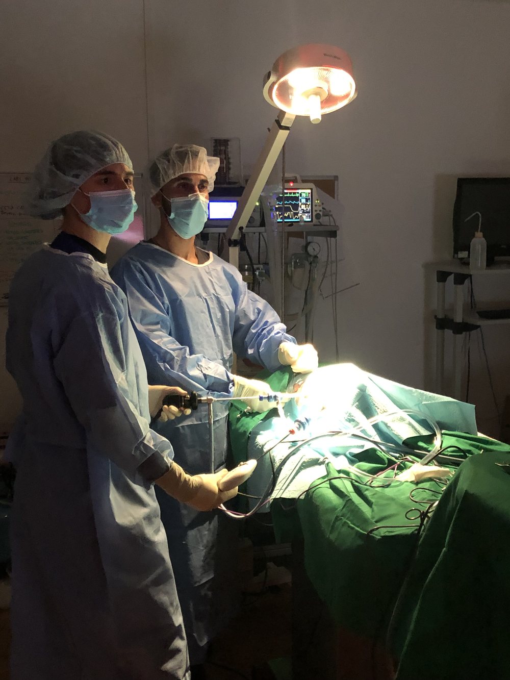 Endoscopia y laparoscopia en Mikavet — Bermeo y Gernika