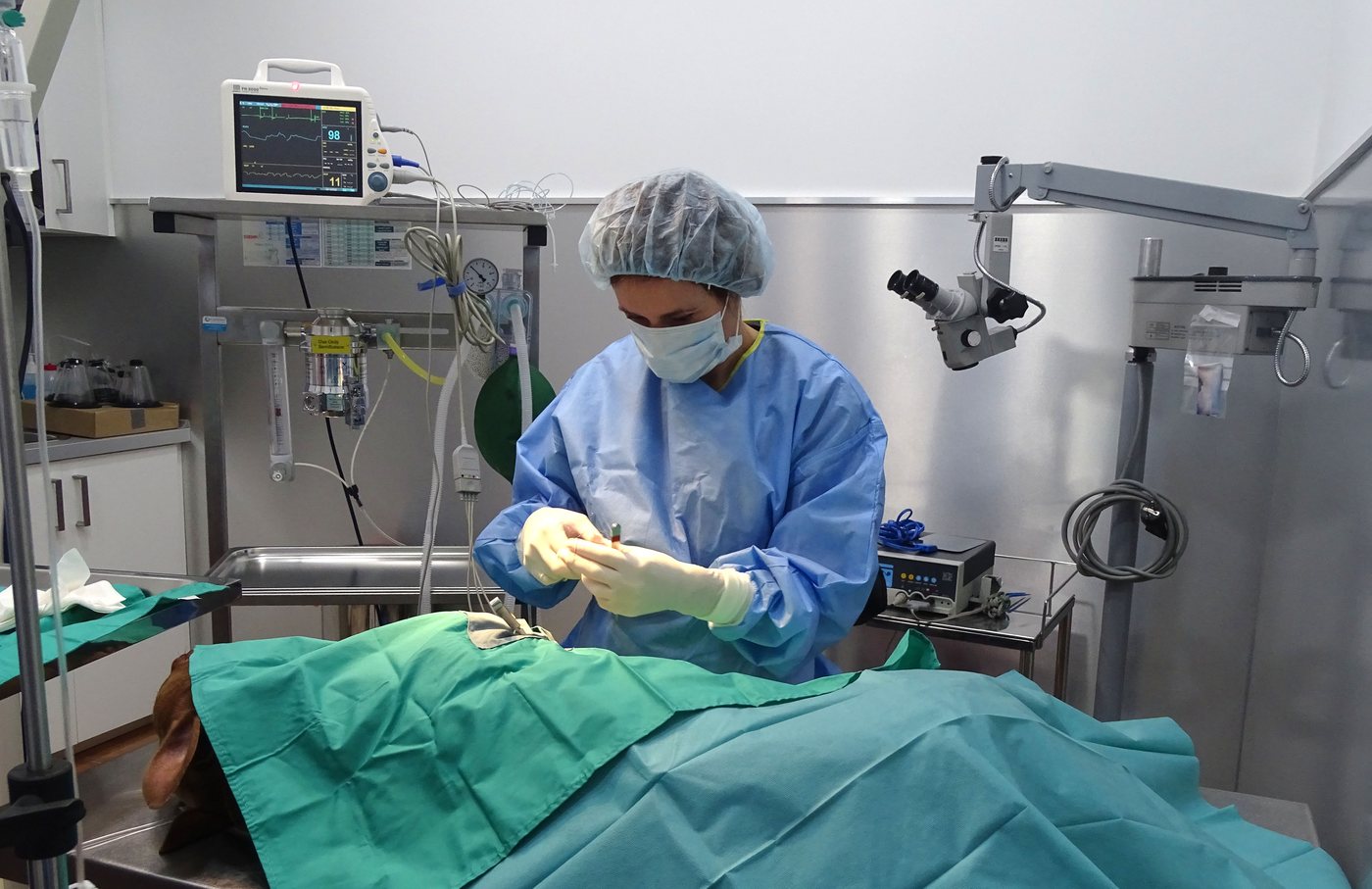 Servicios en Mikavet — Bermeo y Gernika