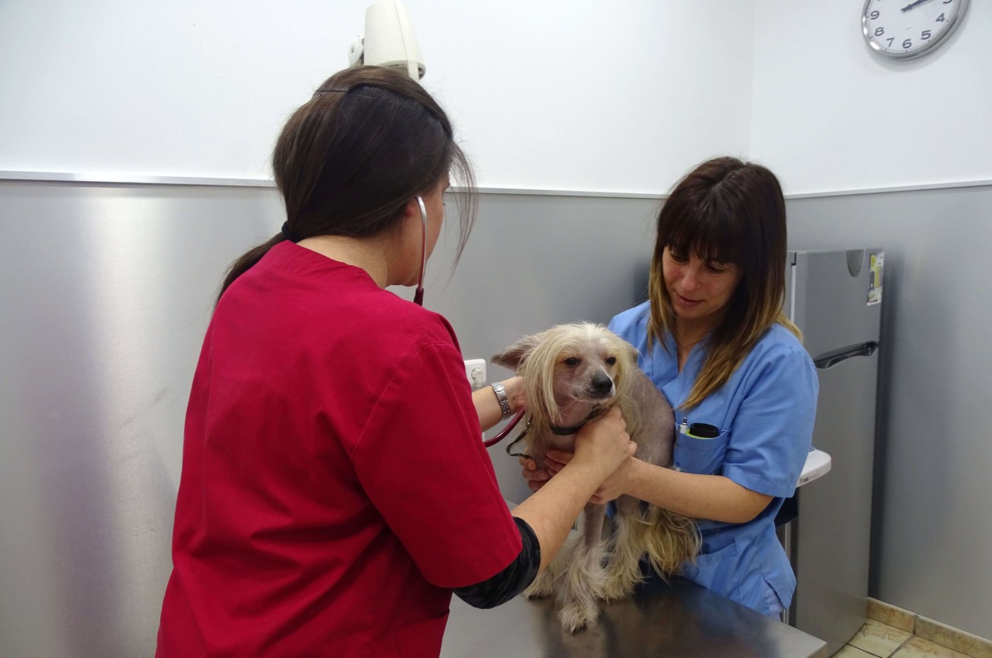Contacto en Mikavet — Bermeo y Gernika